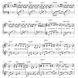 Trót Yêu | Cover by An Coong